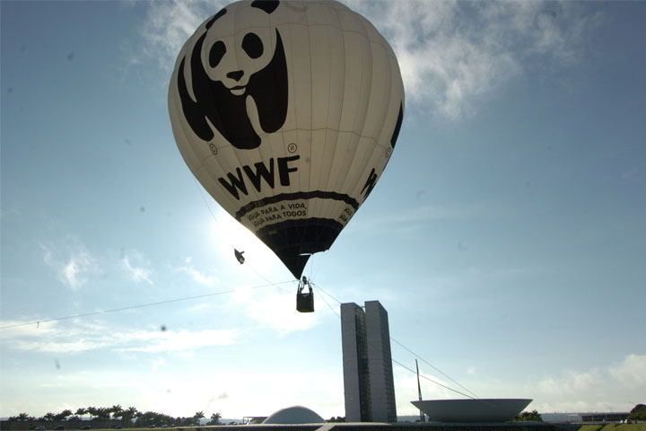 Exness продолжит сотрудничество с WWF